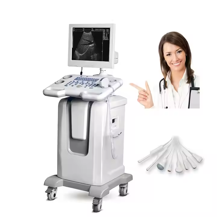 219-Trolley-Based Medical Ultrasound Instruments for Efficient Medical Imaging.jpg